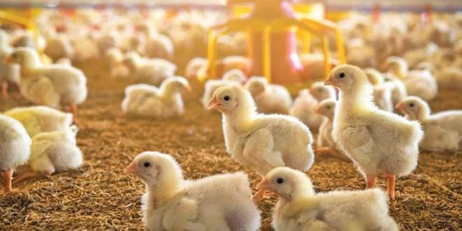 660px-1.-Screenshot-2024-05-20-at-1.00.56 PM industry